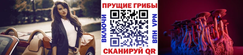 Псилоцибиновые грибы MAGIC MUSHROOMS  Сосновый Бор 